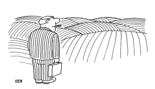 Fields of pinstripe