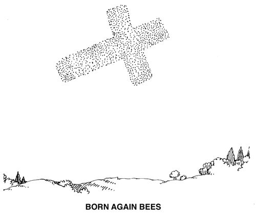 'Born again bees
