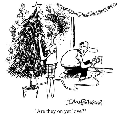 Christmas tree lights - "Are they on yet love?"