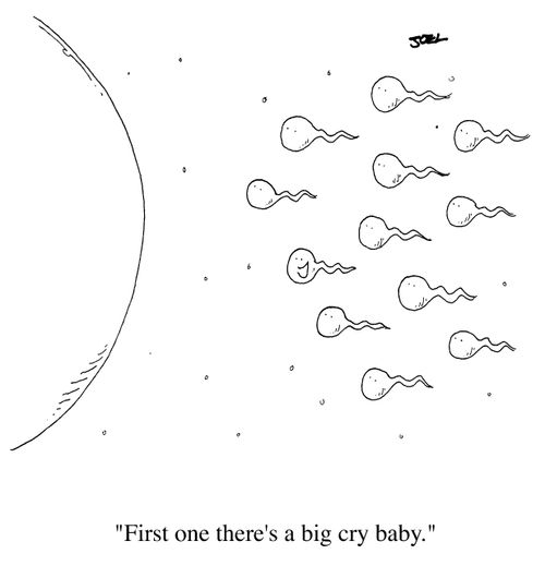 Sperm Race, "First one there's a big cry baby!"
