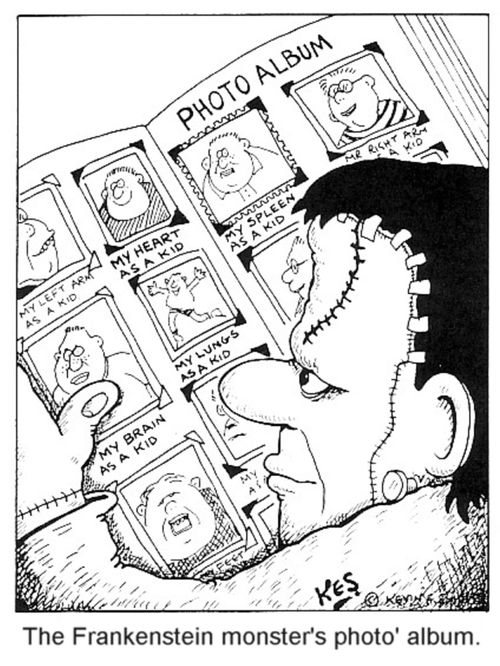 The Frankenstein monster's photo album.