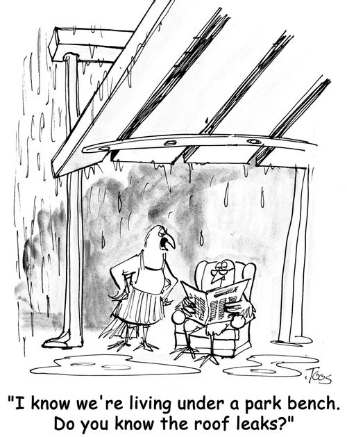 'I know we're living under a park bench. Do you know the roof leaks?'