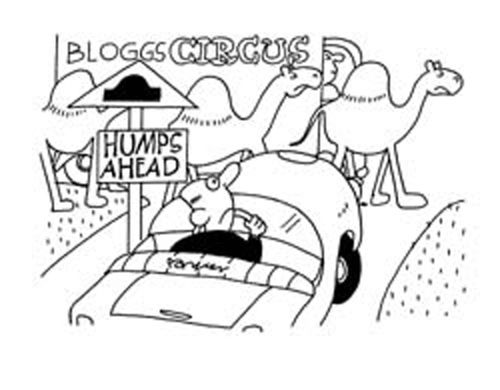 Humps ahead.