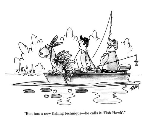 'Ben has a new fishing technique - he calls it 'Fish Hawk'.'