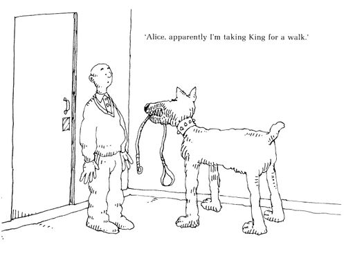 'Alice, apparently I'm taking King for a walk.'