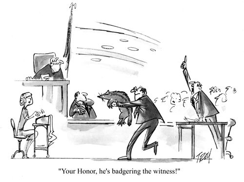'Your Honor, he's badgering the witness!'
