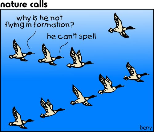 "Why is he not flying in formation?"  "He can't spell."