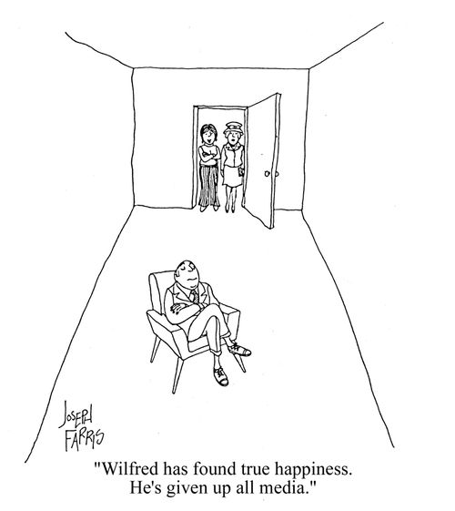 'Wilfred has found true happiness. He's given up all media.'