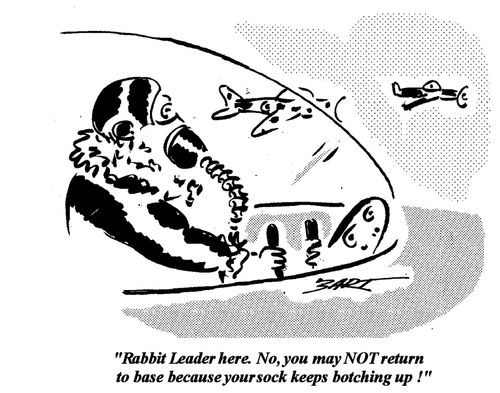 'Rabbit Leader here, No, you may NOT return to base because your sock keeps botching up,'