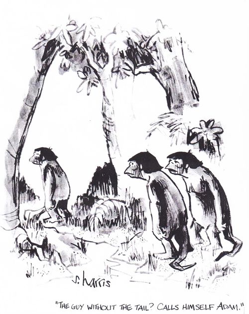 'The guy without the tail? Call himself Adam.'