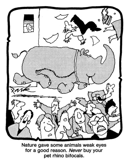 Nature gave some animals weak eyes for a good reason. Never buy your pet rhino bifocals.