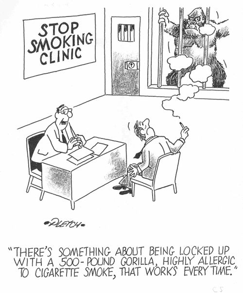 'There's something about beig locked up with a 500-pound gorilla, highly allergic to cigarette smoke, that works every time'