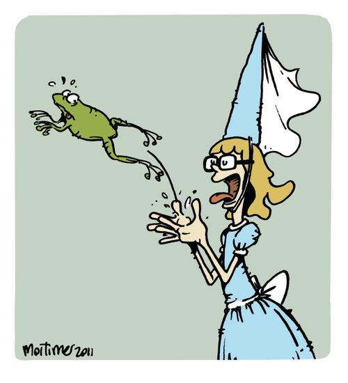The frog and the nerd