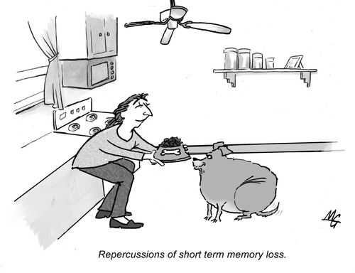 Repercussions of short term memory loss.