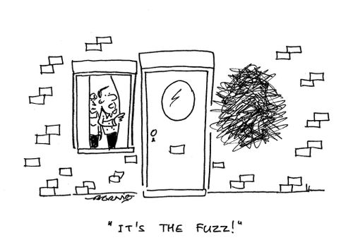 'It's the fuzz!'