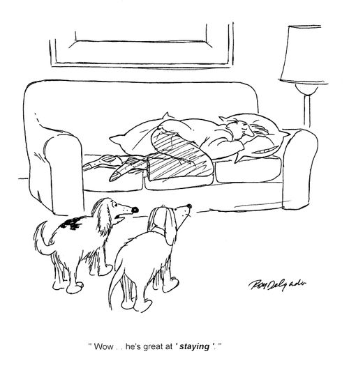 'Wow...he's great at 'staying'.'