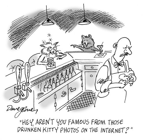 'Hey ,aren't you famous from those drunken kitty photos on the internet?'