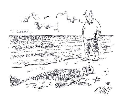 Dead mermaid