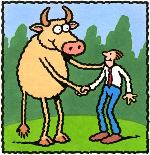 Man shaking hands with a bull