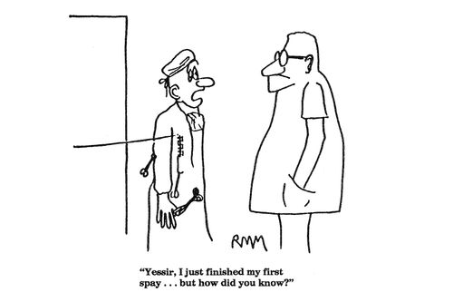 'Yessir, I just finished my first spay...but how did you know?'