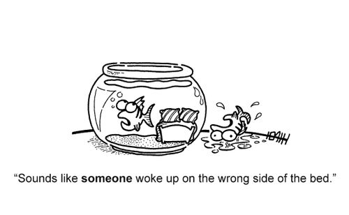 'Sounds like someone woke up on the wrong side of the bed.'