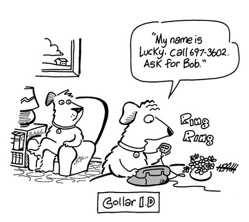 Collar I.D.