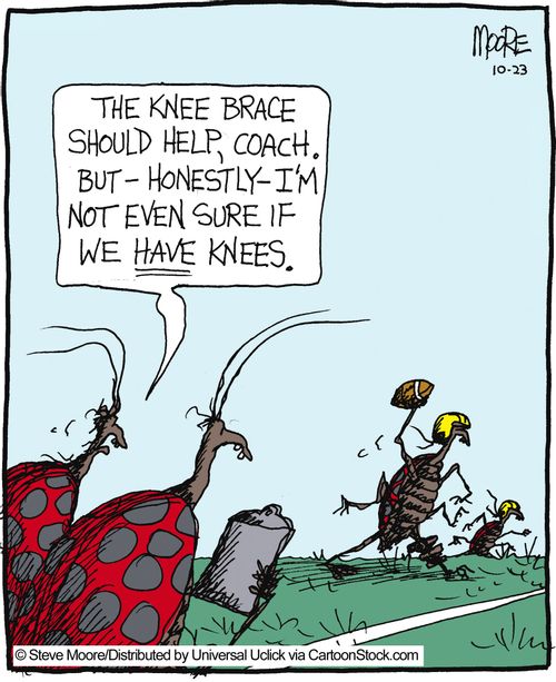 'The knee brace should help, coach. But - honestly - I'm not even sure if we have knees.'