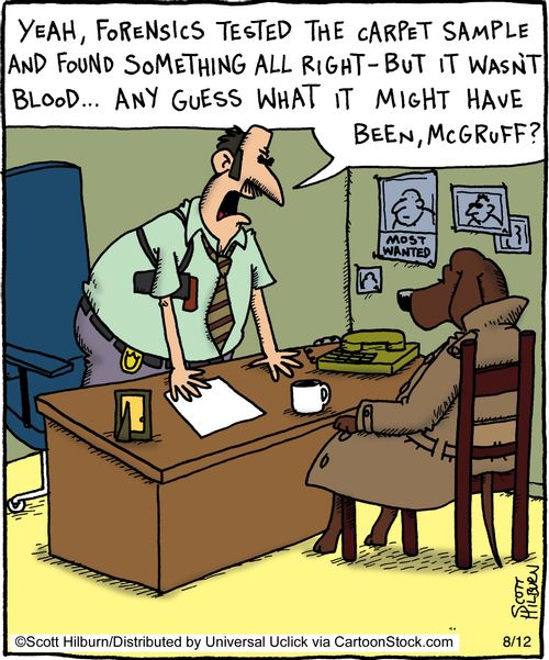 'Yeah, forensics tested the carpet sample and found something alright - but it wasn't blood,,, Any guess what it might have been, Mr McGruff'