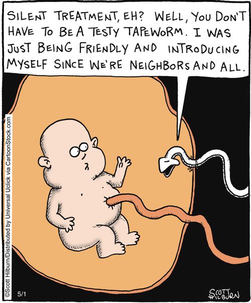 Tapeworm befriends umbilical cord,