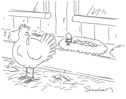 Humpty Dumpty egg laid by a chicken.