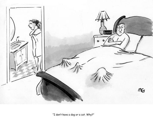 'I don't have a dog or a cat. Why do you ask?'