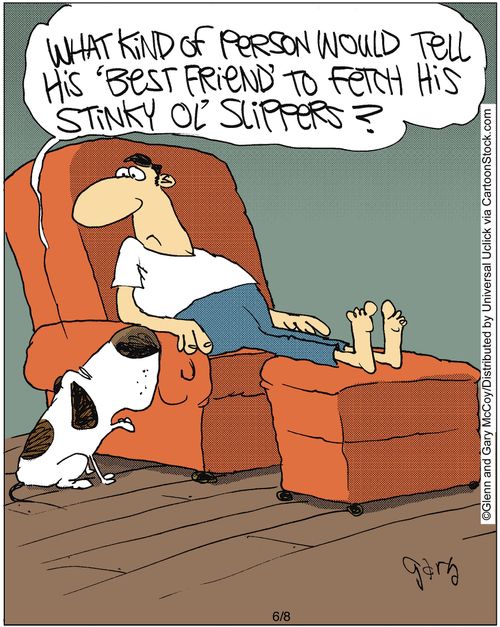 'What kind of person would tell his best friend to go and fetch his stinky old slippers?'