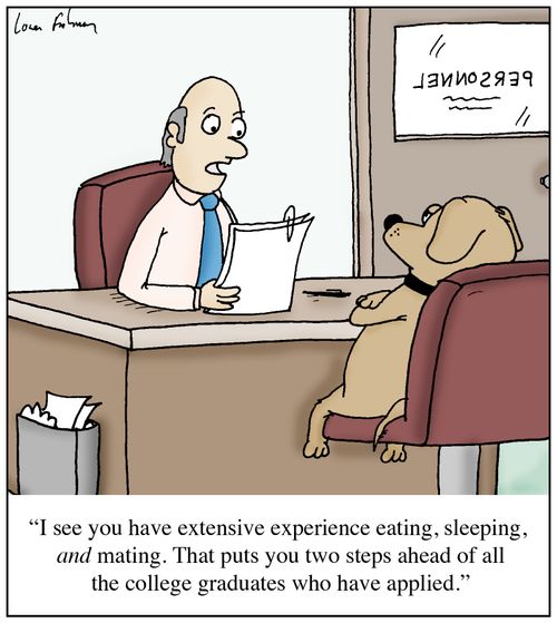 'I see you have extensive experience eating, sleeping, and mating. That puts you two steps ahead of all the college graduates who have applied.'
