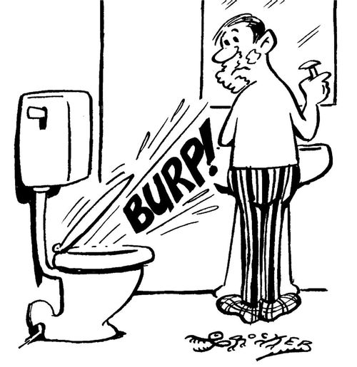 Burping Toilet