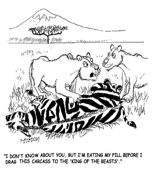 'I don't know about you. But I'm eating my fill before I drag this carcass to the 'king of the beasts'.'