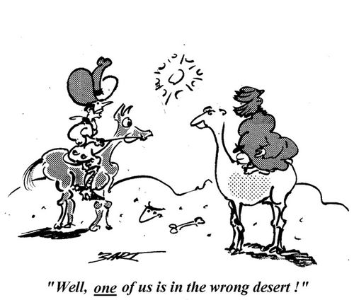'Well, one of us is in the wrong desert!'
