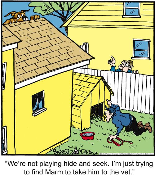 'We're not playing hide and seek. I'm just trying to find Marm to take him to the vet.'