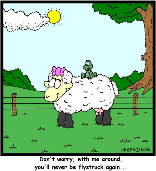 'Don't worry, with me around, you'll never be flystruck again...'
