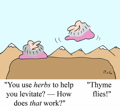 'You use HERBS to help you levitate? - How does THAT work?'