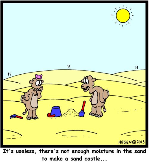'It's useless, there's not enough moisture in the sand to make a sand castle...'