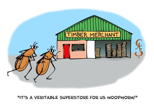 'It's a veritable superstore for us woodworm!'
