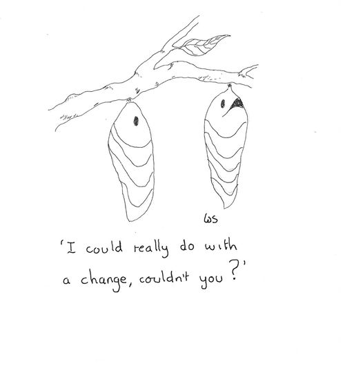 'I could really do with a change, couldn't you?'
