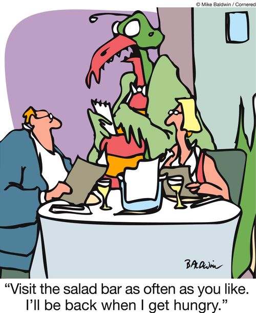 'Visit the salad bar as often as you like. I'll be back when I get hungry.'