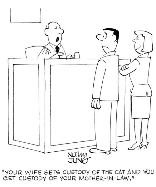 'Your wife gets custody of the cat and you get custody of your mother-in-law.'