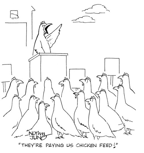 'They're paying us chicken feed!'