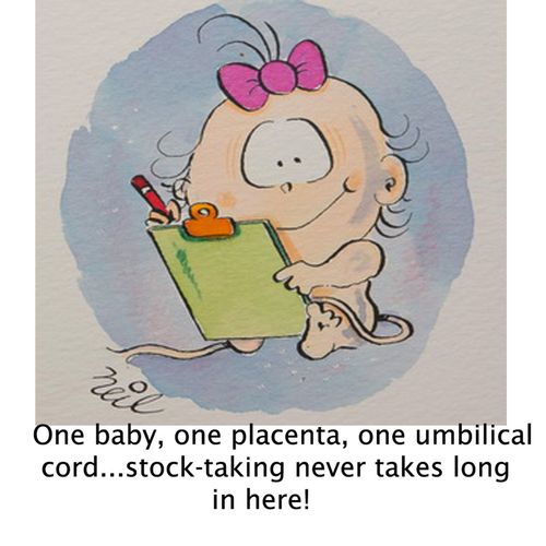 'One baby, one placenta, one umbilical cord...stock-taking never takes long in here.'
