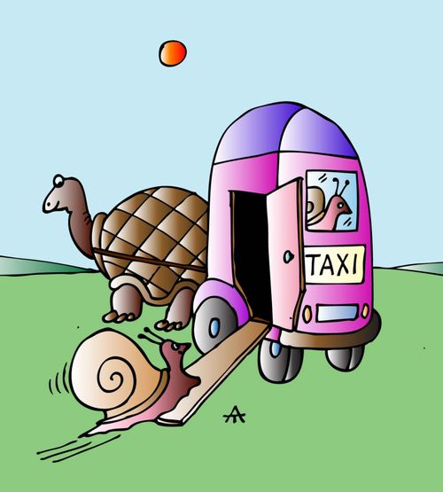 Snail Taxi.