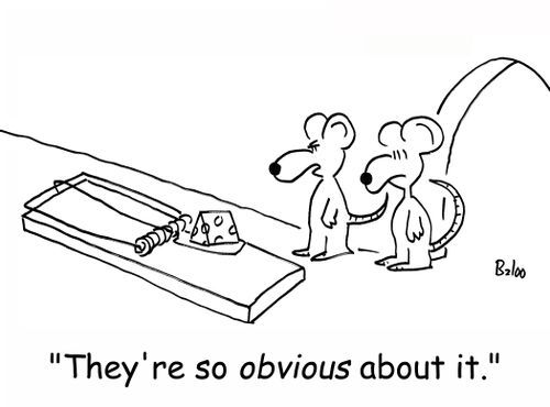 'They're so obvious about it.'