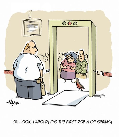 'Oh look, Harold! It's the first Robin of spring!'