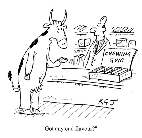 'Got any cud flavour?'